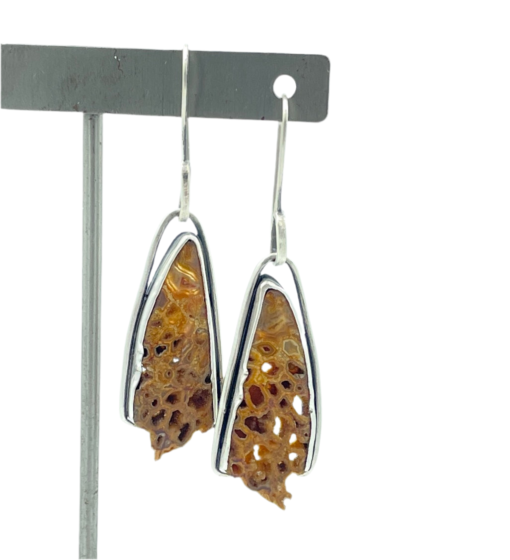 Petrified wood and sterling silver earrings