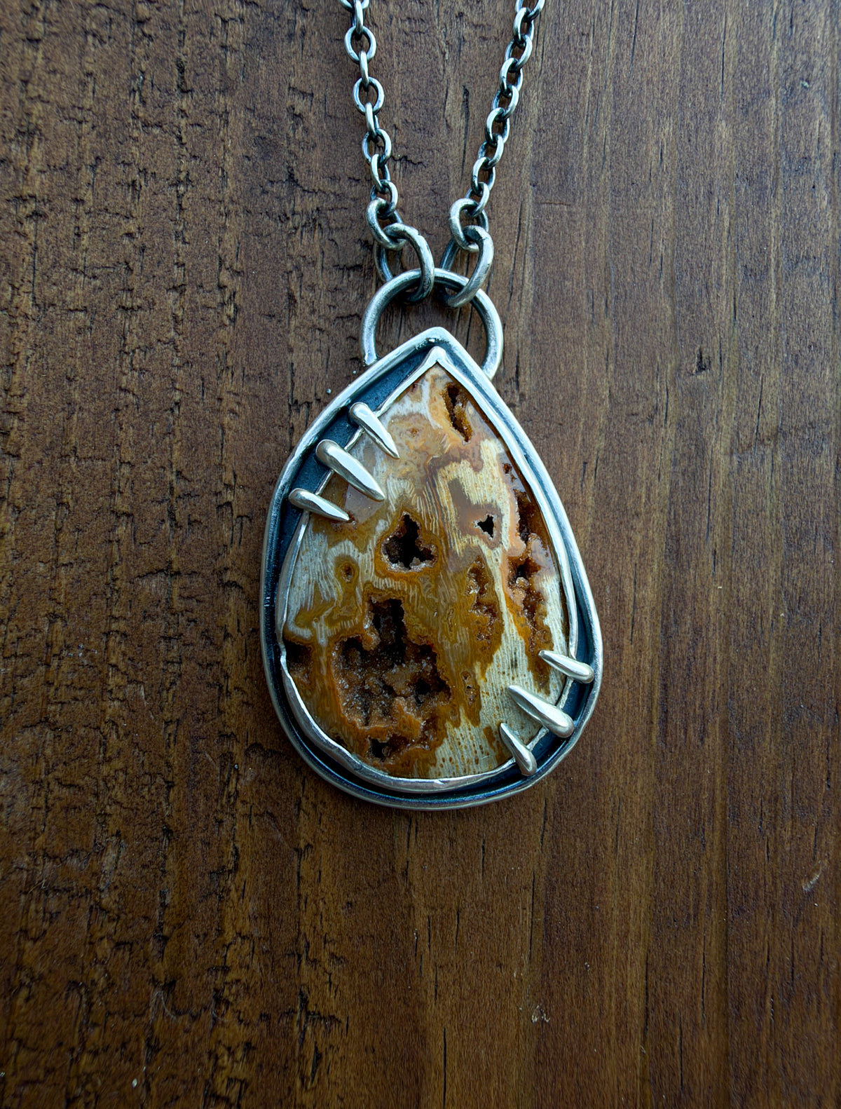 Petrified Wood with Druzy Pocket Pendant Necklace