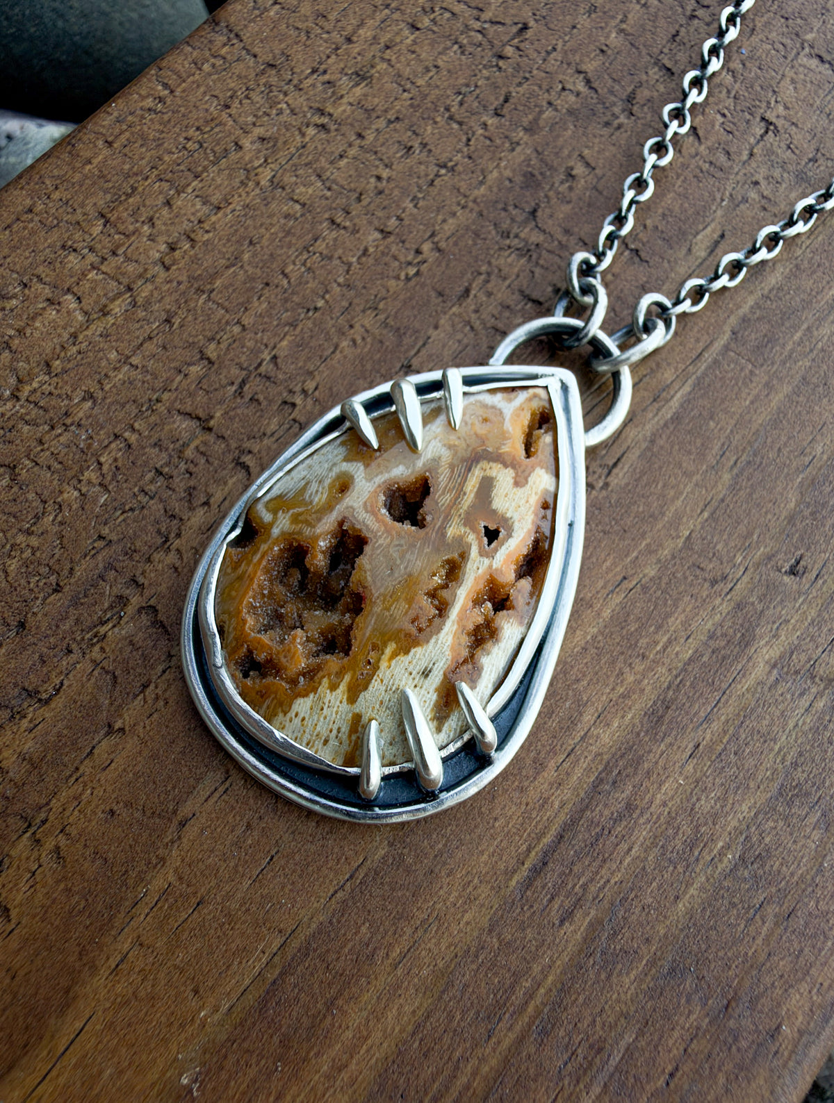 Petrified Wood with Druzy Pocket Pendant Necklace